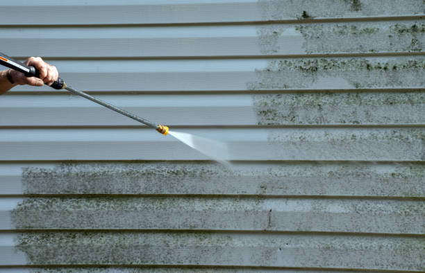 Best Home Mold Removal  in Mission, KS